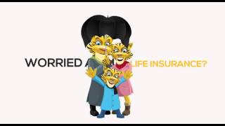 tiger insurance explainer video+