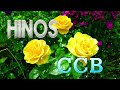 LINDOS HINOS CCB CANTADOS🌷193, 01, 118, 129, 185, 191, 220, 256, 323, 329