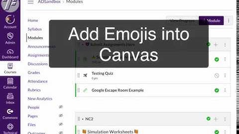 Adding Emojis to Canvas Item Titles