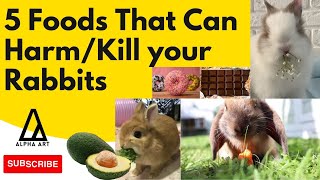 5 Foods that Could Kill or Harm your Rabbits