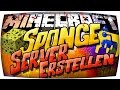 ❧ Minecraft SPONGE SERVER Erstellen ❧ MODS UND PLUGINS gleichzeitig Installieren ! Forge Spongeforge