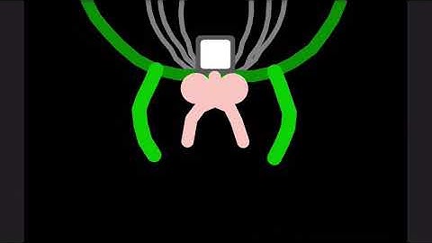 Omega Flowey Transformation