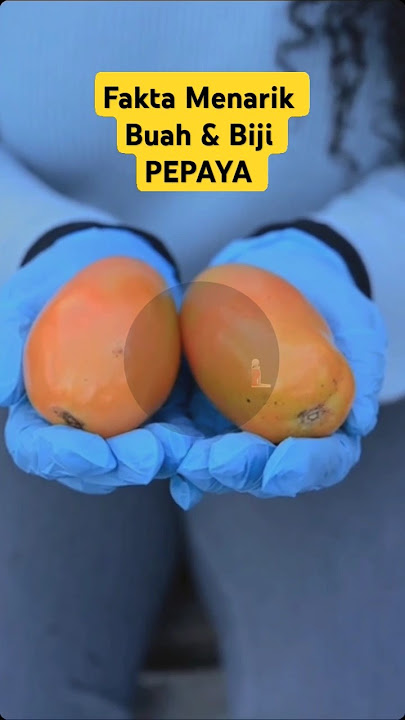 Fakta Menarik Seputar Buah Pepaya #anime #music #remix #buah #fruit #buahbuahan #fact