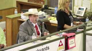 2013 Lmac Auctioneer Championship - Winners