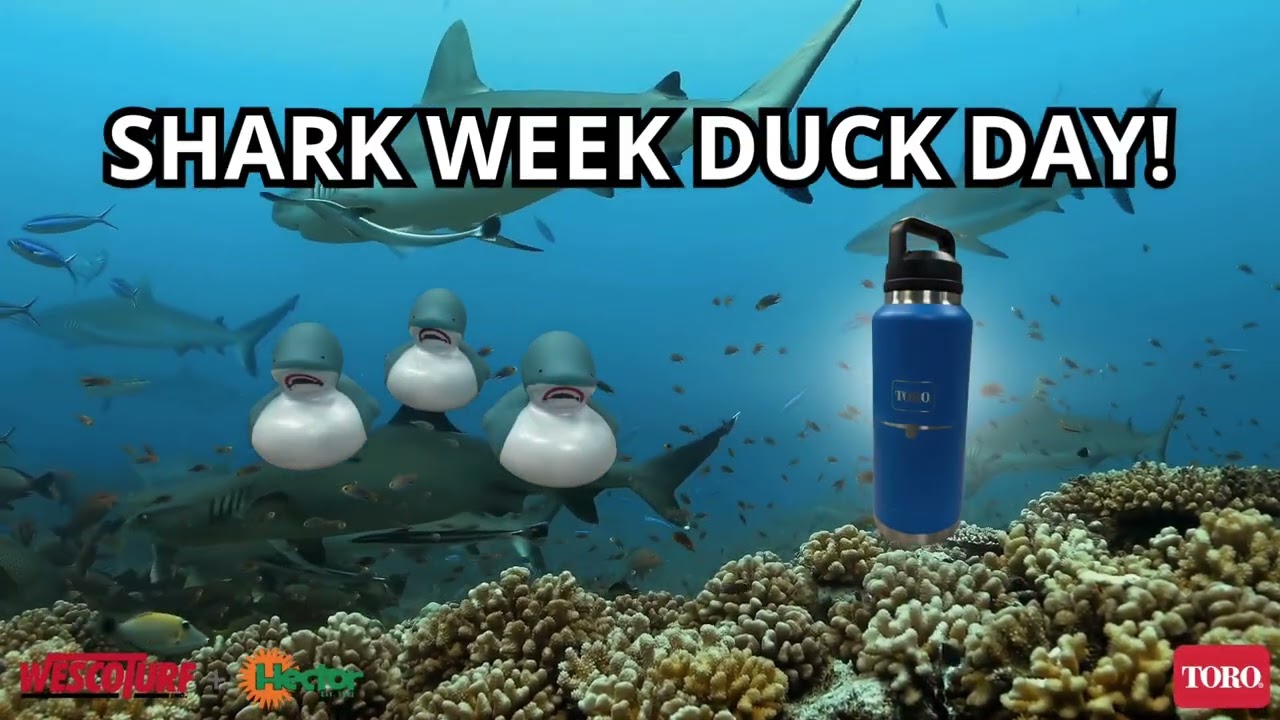Shark Week Duck Day! 7/24/25