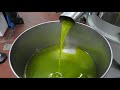 Estraiamo l'olio di oliva/ frantoio tradizionale.[Oleificio Astolfi].