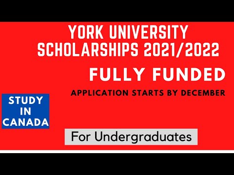 York University Scholarships (scholarship overview)