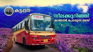 Neelakurinji | നീലക്കുറിഞ്ഞി കാണാൻ പോവുന്ന ബസ്  | Kalyanathandu I Idukki | Calvary Mount | free20