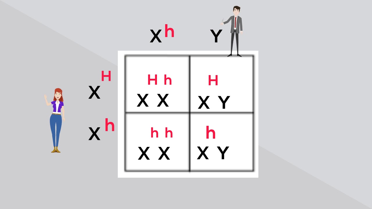 What are X-linked traits?