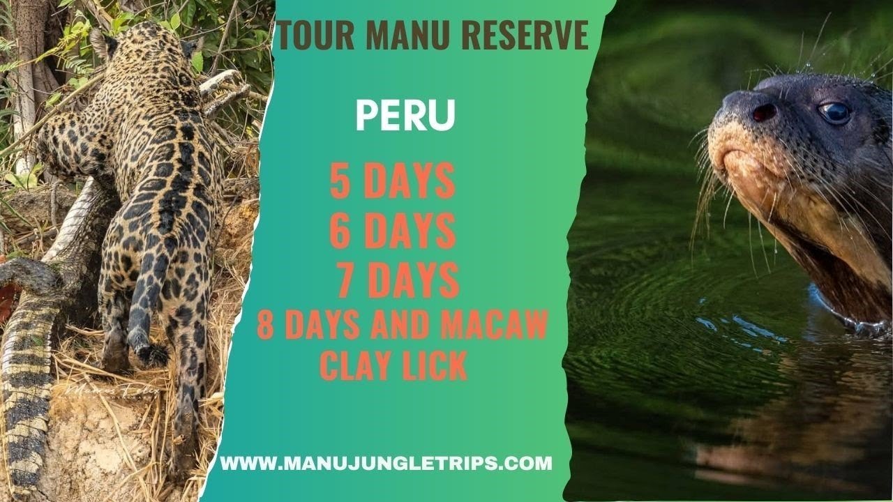 Peru Amazon Travel   Manu Reserve -Manu Jungle Trips .