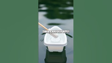 Soap-Powered Boat Experiment