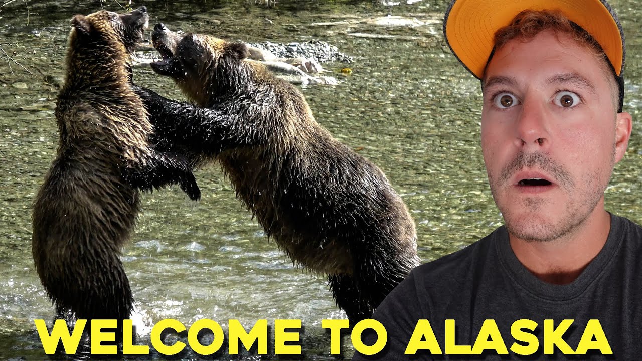 (Grizzly Bears Fighting in the Wild on Camera!) This was Almost a BIG FAIL but I Made it to ALASKA!
