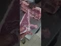 camel T bone omar farms