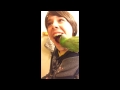 Bird pulls out boy's tooth