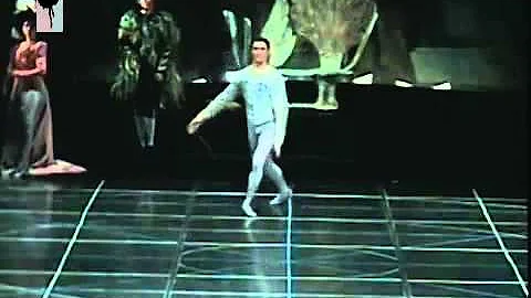 Black swan  Michele Wiles Artem Shpilevskiy