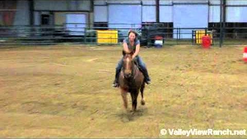 Payoffs Bar - Player      ***For info, price, etc., go to our website***  Valley View Ranch