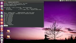 Recuperar Archivos Eliminados de una USB por medio de Photorec en Ubuntu