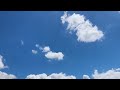 FMS Trojan 1200mm flyby