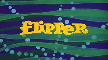 Classic TV Theme: Flipper