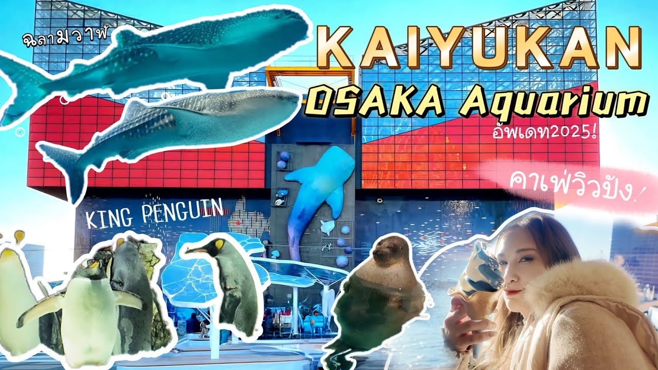 Osaka Aquarium Kaiyukan อัพเดท2025 พาเที่ยว ไคยูคัง อควาเรียม โอซาก้า ดูฉลามวาฬ ที่ ญี่ปุ่น JAPAN 🦈🦦