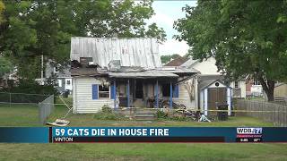 Firefighters Describe Conditions Inside Vinton House Fire that Left 59 Cats Dead