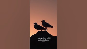 تلاوة خاشعة تريح القلب 🖤#قرآن #اكسبلور #لايك #حالات_واتس #راحة_نفسية #explore #subscribe #like