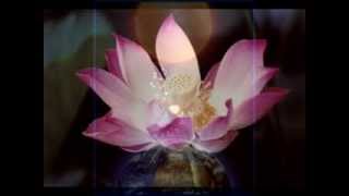 Om AmmaBhagavan - Oneness Meditation Chant - Theo Hirschi
