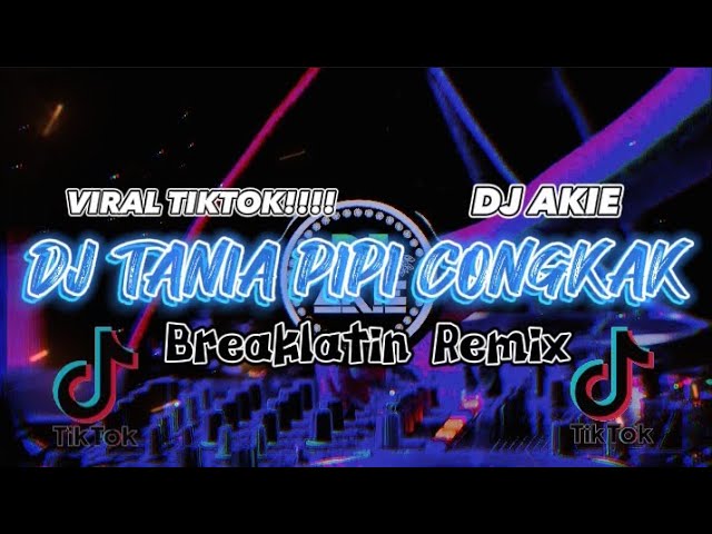 DJ AKIE~TANIA PIPI CONGKAK(Breaklatin Remix) class=