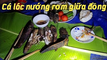 Cá lóc Cá Trê nướng rơm giữa đồng lai rai vài xị rượu đế đậm chất miền tây #116