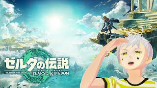 【ゼルダの伝説 ティアーズ オブ ザ キングダム】#1　生配信　朝までやるぞぉ！！