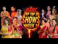 BARC TRP of Week 14 (2026) Top 30 Shows : Naagin, Seher, Rimjhim, Lakshmi Niwas