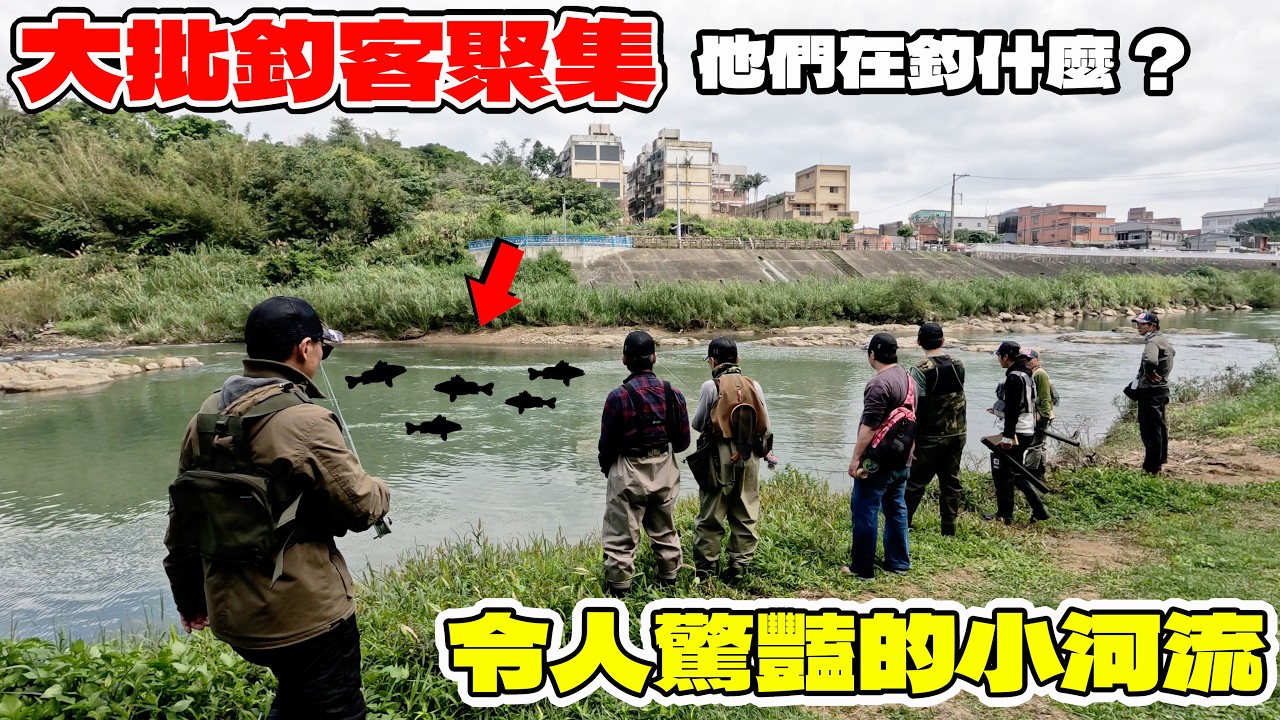 拍片發生重大事故 滑倒5萬沒了 這個會不會釣差很多 大批釣客聚集 竟然是在釣這個 魚群豐富的漂亮小河流 【漁樂爽報】Fishing Fun NEWS EP203 #釣魚 #路亞 #fishing 縮圖