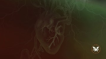 State of Decay 2 Juggernaut Edition - Weiiiird graphics issues and 1080p problem