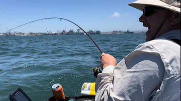 Ghost Shrimp Fishing San Diego Bay @chrisbrandtthebeefshaman9590