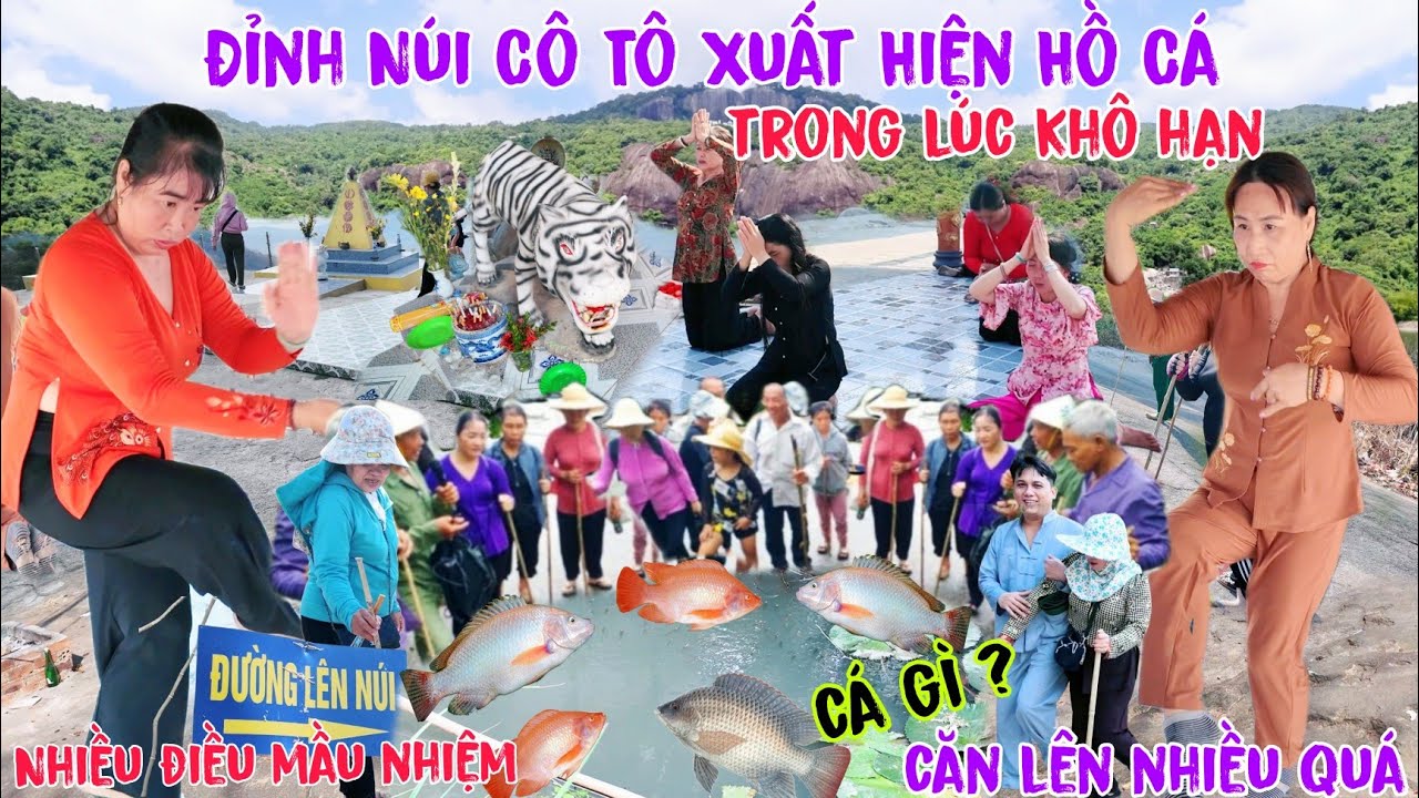 Bất Ngờ Đỉnh Núi Cô Tô Xuất Hiện Hồ Cá Sinh sản bầy bầy trong lúc khô hạn