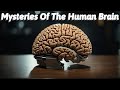 The Mysteries Of The Human Brain