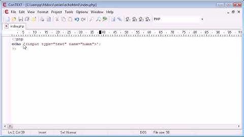 Beginner PHP Tutorial 11 Output HTML Using echo print