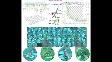 Pose estimation of freely moving macaque in multiple views and corresponding triangulation