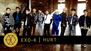 EXO-K - Hurt [Audio]