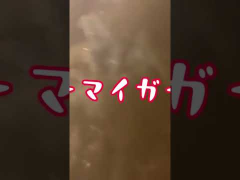 男気食堂 男気特製牛丼 #料理男子 #簡単レシピ #料理動画 #男気食堂 #牛丼