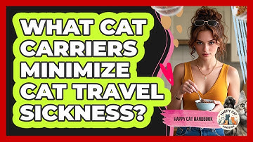 What Cat Carriers Minimize Cat Travel Sickness? - Happy Cat Handbook
