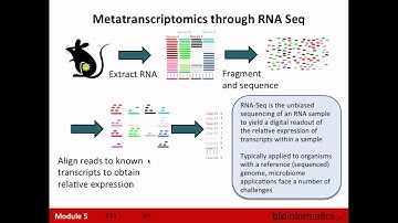 Metatranscriptomics