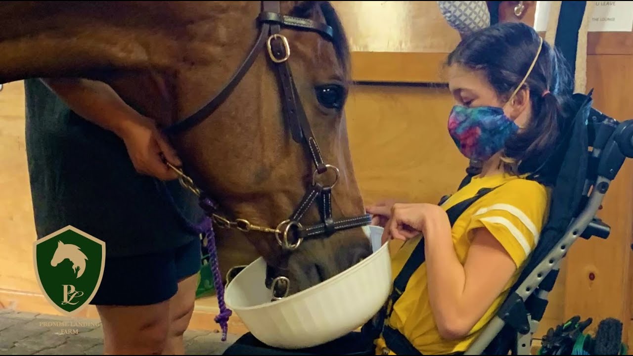 Qlarant Foundation 2023 Grantee Spotlight: Promise Landing Farm 2023 ...