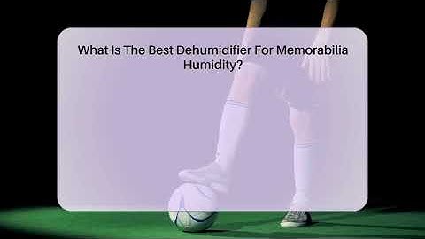 What Is The Best Dehumidifier For Memorabilia Humidity? - The Memorabilia Zone