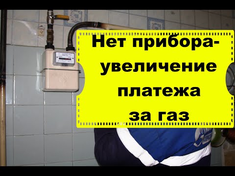 Новые правила оплаты газа/Как не получить штрафы/Нужен ли счетчик газа/Когда поправки вступят в силу