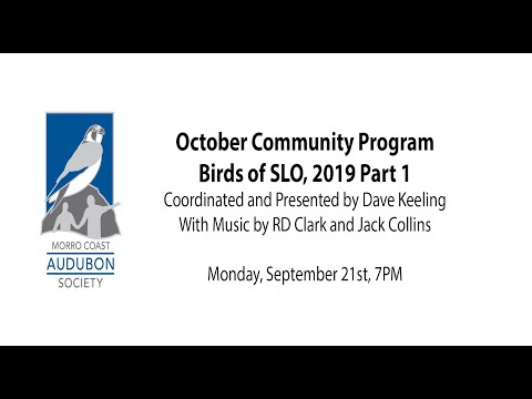 VIDEO of SEP 21st Community Program: Why Birds Flock ~ Morro Coast Audubon  Society