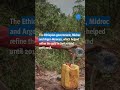 Éthiopie Effets Néfastes D Une Mine D Or Éthiopie Effets Néfastes D Une Mine D Or