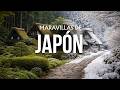 Maravillas de Japón | Los lugares secretos de los que nadie habla | Video de viaje en 4K