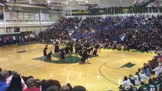 Gator Guy Poms 2016
