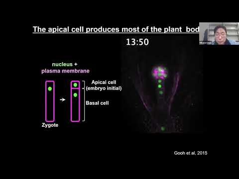 Minako Ueda: Digging Deep with Quantitative Plant Biology